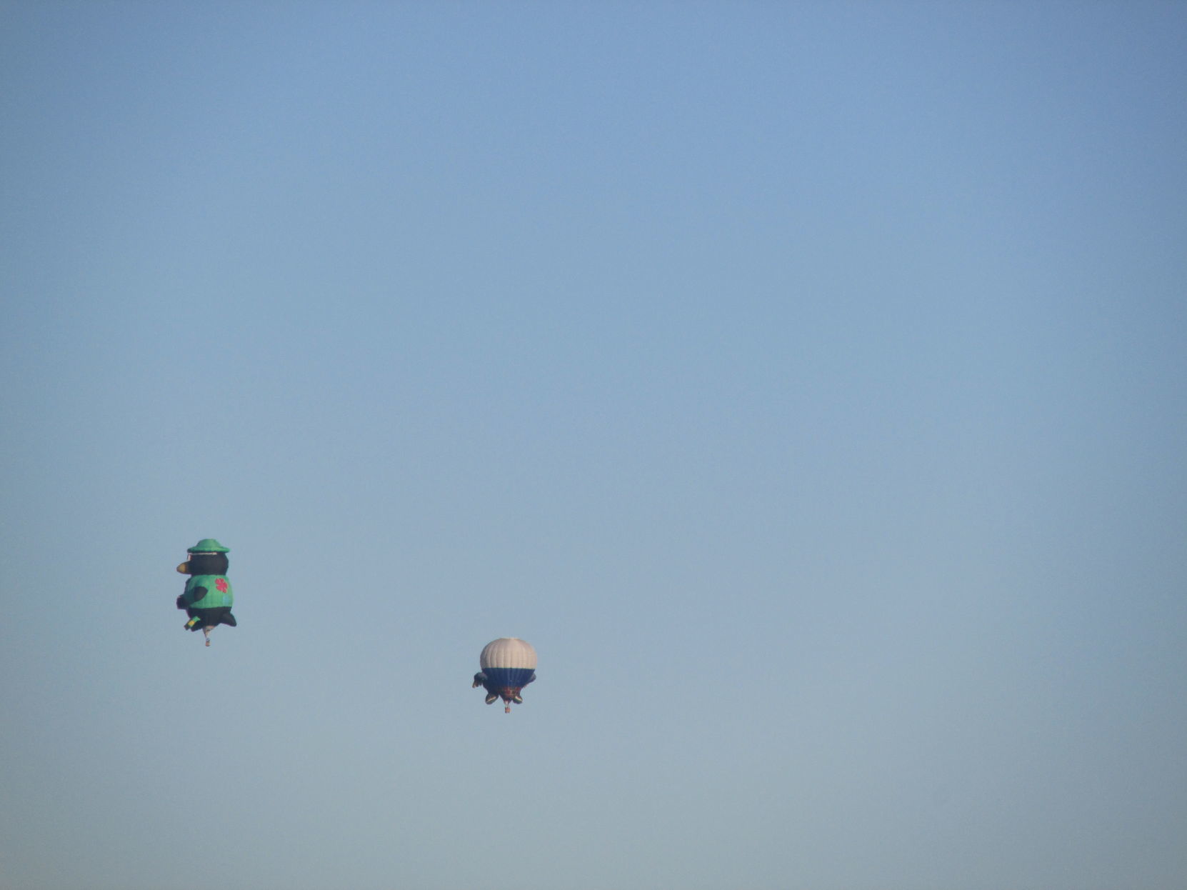 Carolina BalloonFest